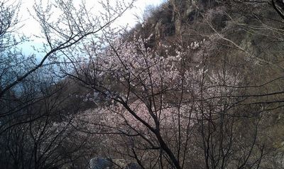 152819g1mr8nre1ahg6h3h.jpg