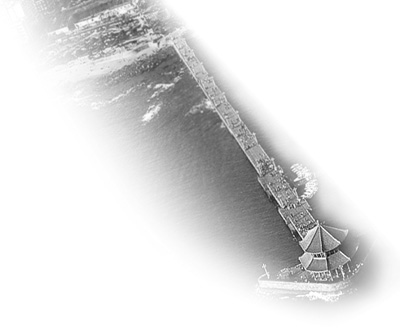 115606346_11n.jpg