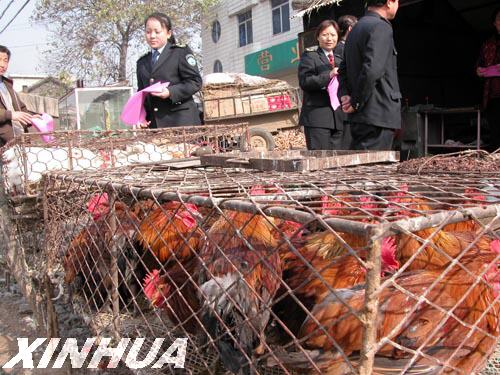 xinsrc_141102151426218259155.jpg