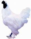 u=141766962,1142752688&fm=21&gp=0.jpg