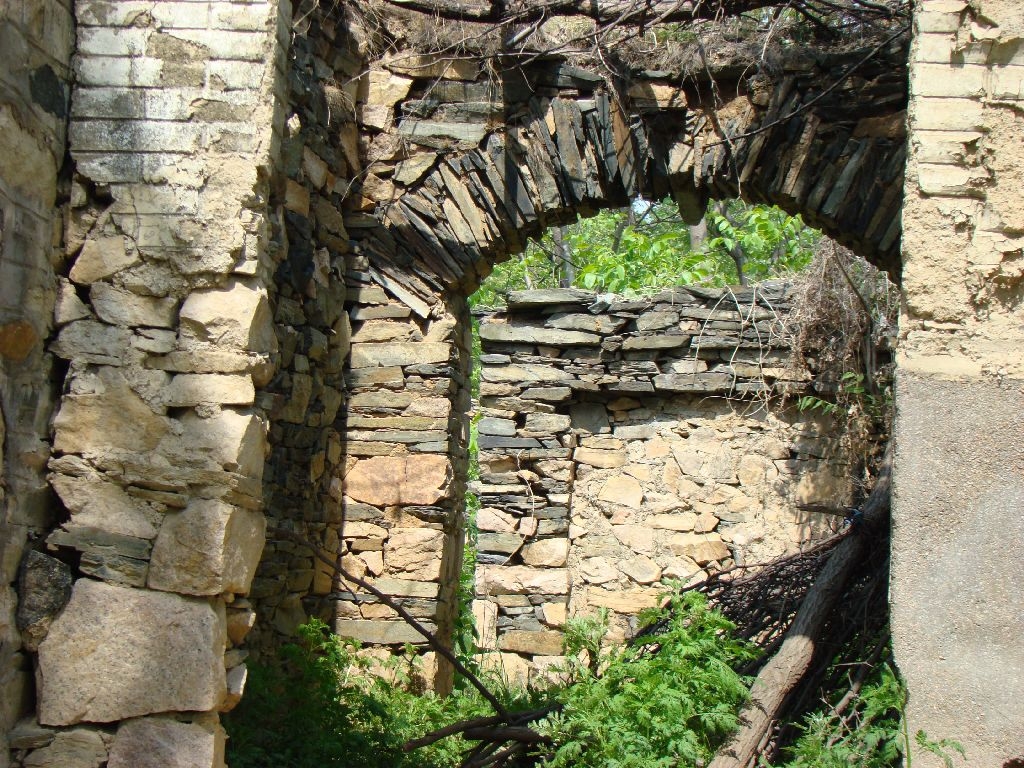 2306490ahx6luaktbz0khn.jpg
