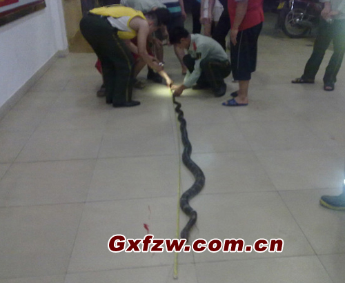 20115611315.jpg