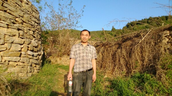 114703dcczc16cd1densoe.jpg