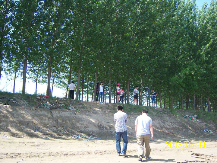 large_mfh5_05400000939a1191.jpg