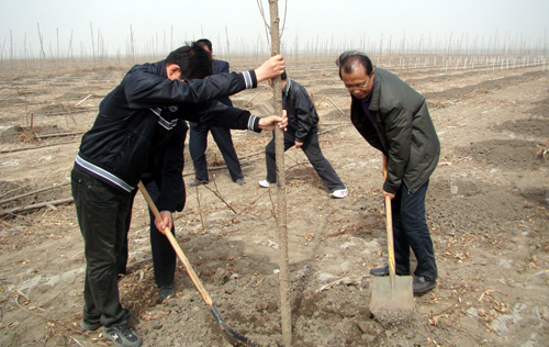 201104121615210.jpg