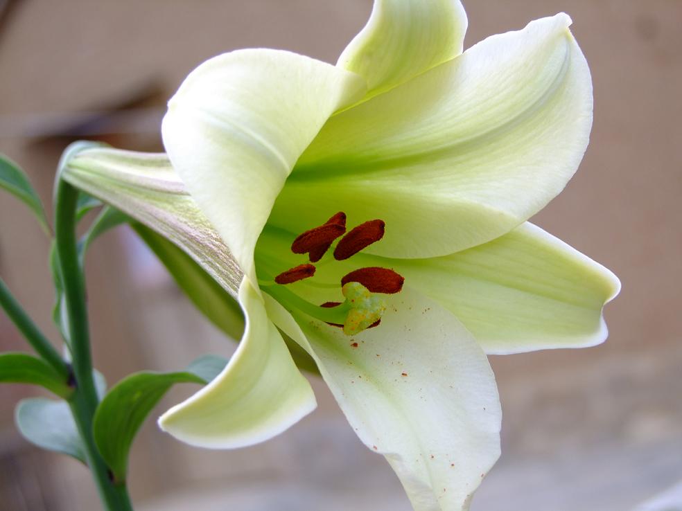 2010111594515277.jpg