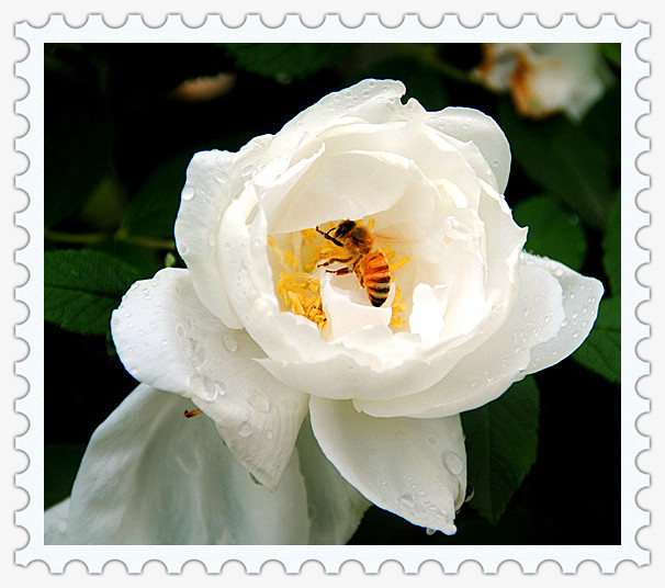 1823033v3xofn8fuumnfzf.jpg