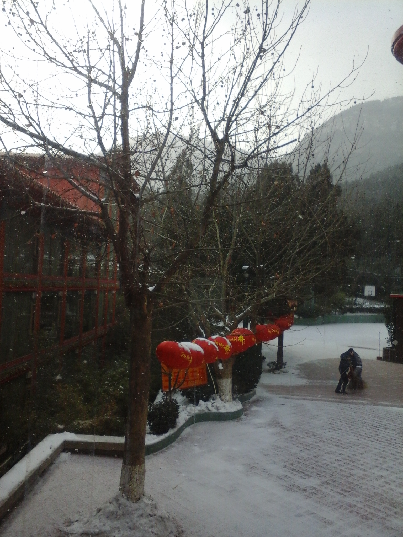 20140209_102849.jpg