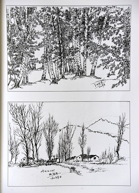 2014年2月13日，山东省茌平县钢笔画家李保强钢笔画作品集部分作品。