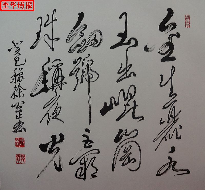 书法家徐公正书法作品（奎华博报）