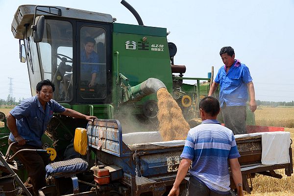 山东茌平：农民发明家谷风金发明小麦收割机自动卸粮筒