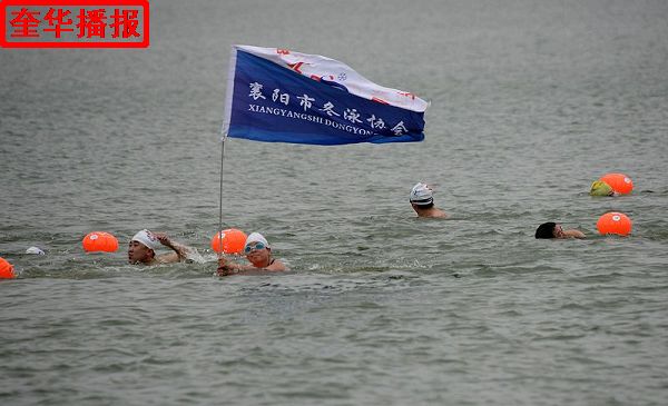 2014年6月21日，2014年全国公开水域游泳系列赛（聊城站） 比赛现场。