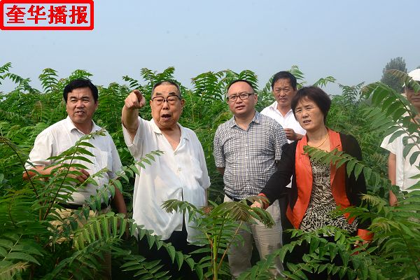 2014年8月29日，张国忠（左二）劳模在茌平县乐平镇南王村山东小杨屯鸭业科贸有限公司绿化苗木第五种植基地。 ...