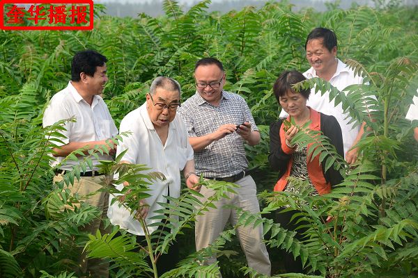 2014年8月29日，张国忠（左二）劳模在茌平县乐平镇南王村山东小杨屯鸭业科贸有限公司绿化苗木第五种植基地。 ...