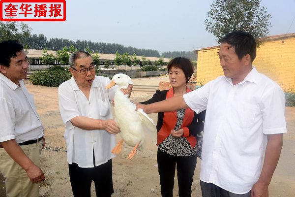 2014年8月29日，张国忠（左二）劳模在茌平县振兴街道吴官屯村山东小杨屯鸭业科贸有限公司良种鸭第五繁育场  ...