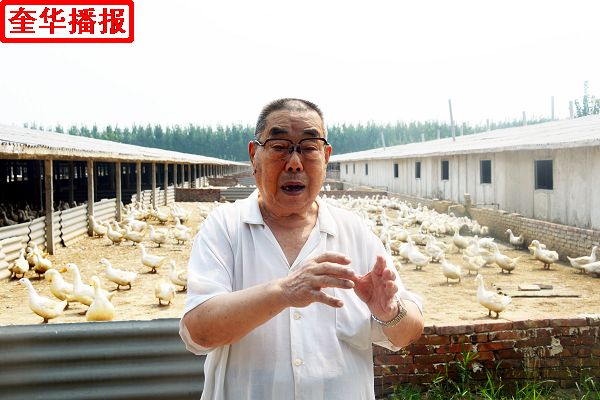 2014年8月29日，张国忠劳模在茌平县乐平镇南王村山东小杨屯鸭业科贸有限公司良种鸭第六繁育场。  