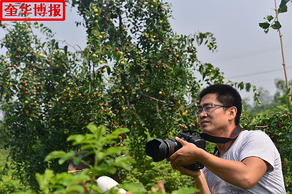 肖庄镇圆铃大枣生态园里来了城里客人