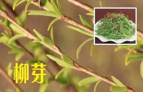 QQ图片20170303203014.jpg