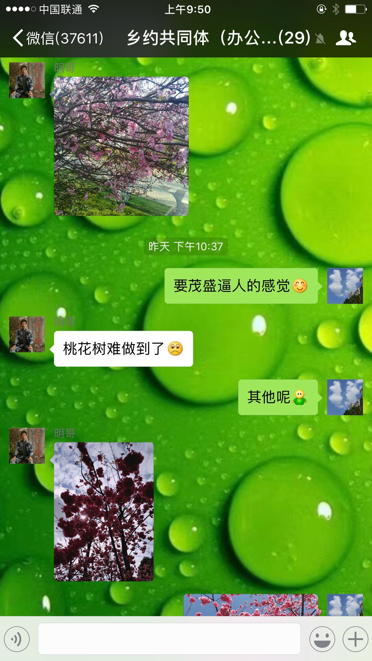 QQ图片20170325095157.jpg