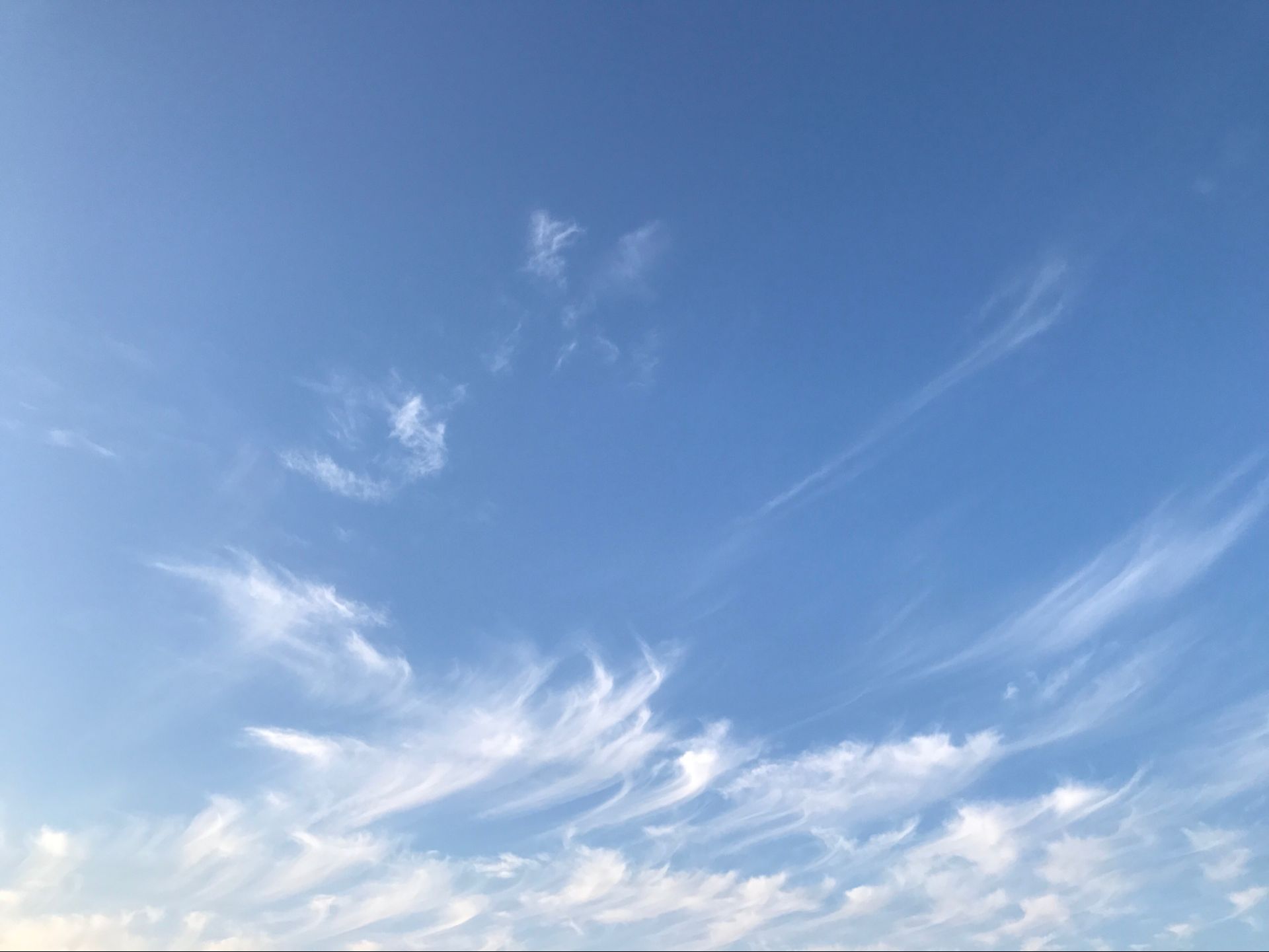 QQ图片20170403070143.jpg