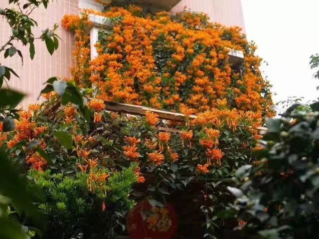 QQ图片20170420081618.jpg