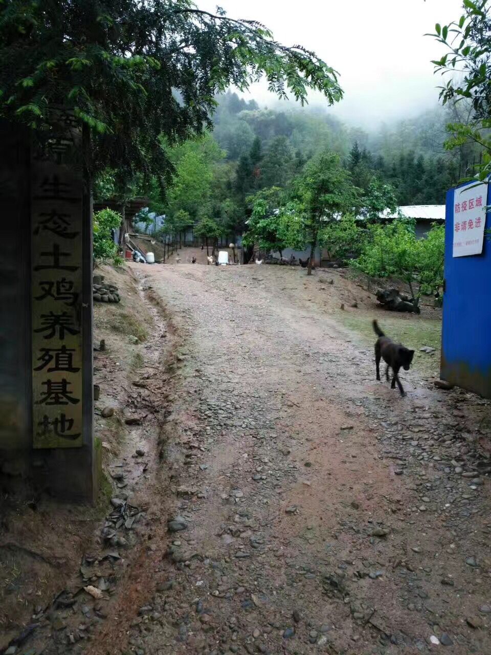 QQ图片20170420081732.jpg