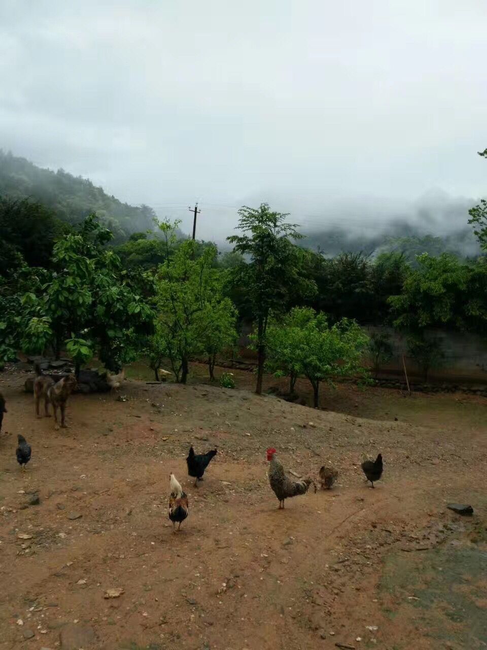 QQ图片20170420081745.jpg