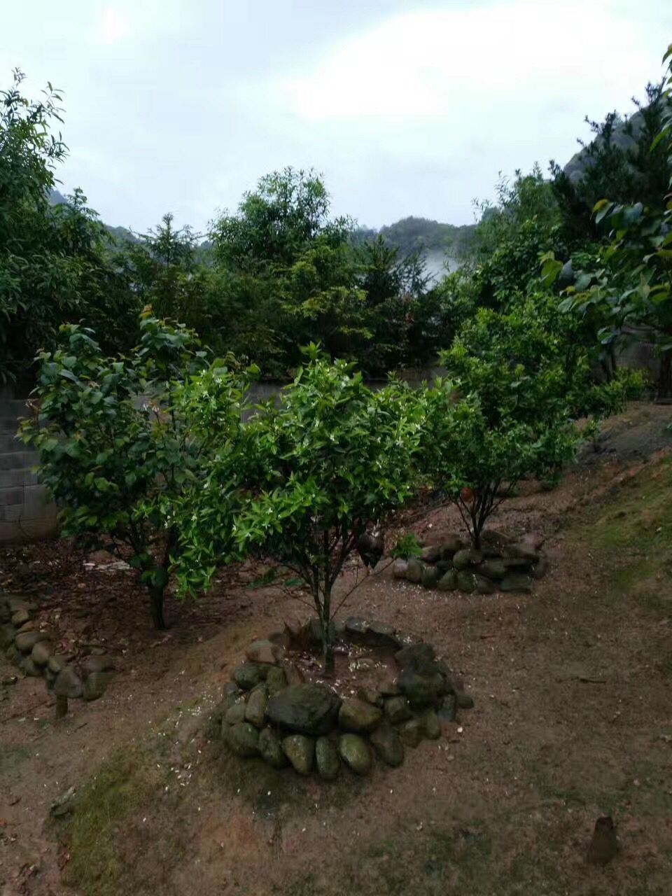 QQ图片20170420081750.jpg