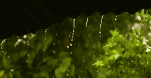 IMG_0427.GIF