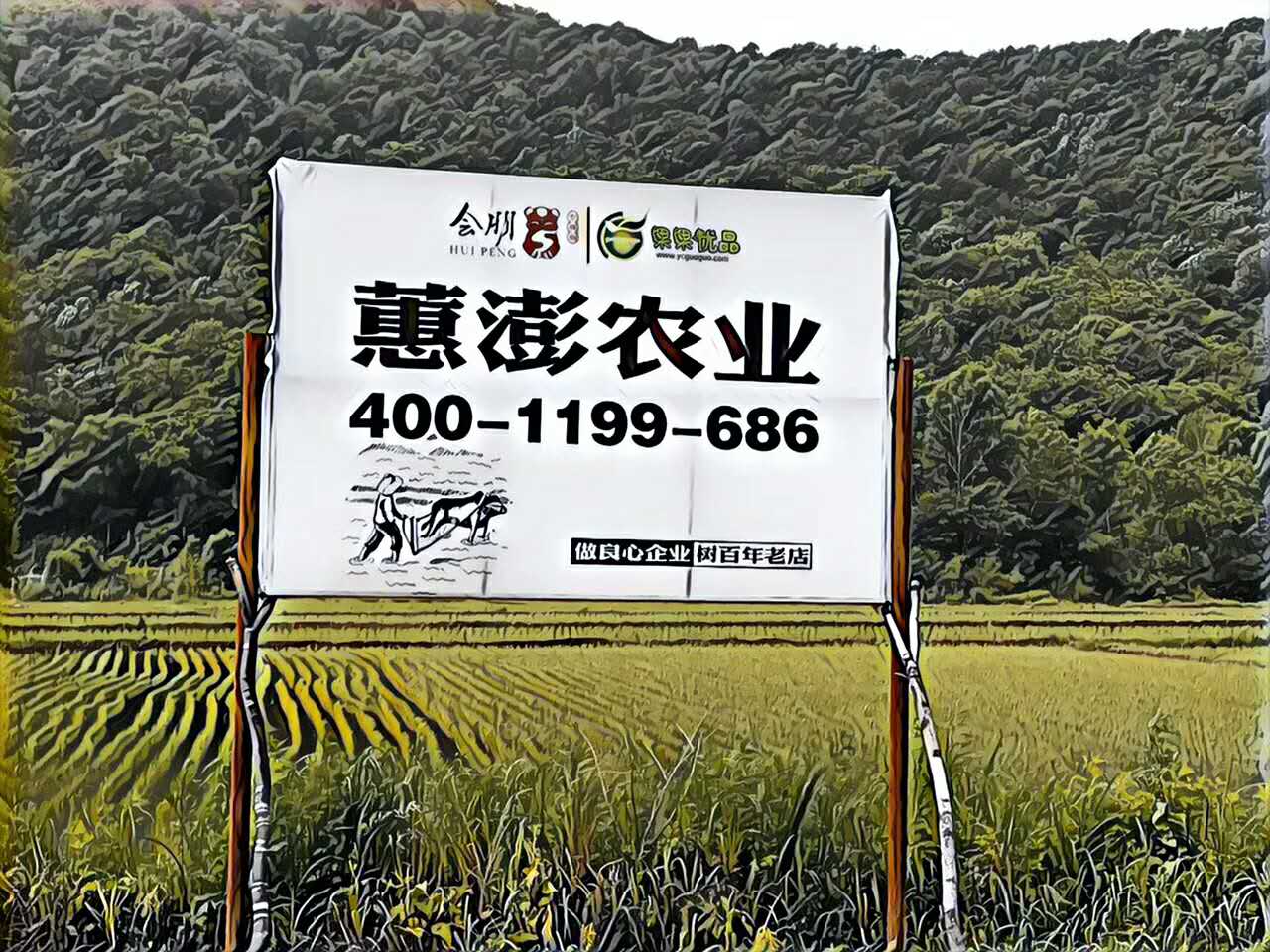 D33848CF-0B86-40C7-B9C9-3283F25DCF04-732-0000010C683B5E2C_tmp.jpg