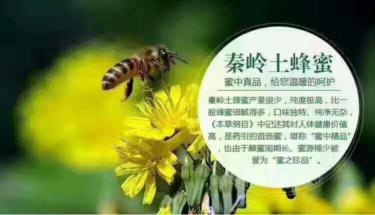 1AB2374D-0302-4DAB-A3E1-C6D3D75FF059-266-0000002EC1D9A23C_tmp.jpg