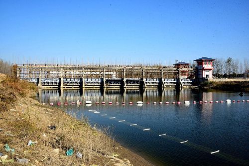 2017年11月15日，山东省聊城江北水城旅游度假区朱老庄镇王堤口村景色别样美。 (16).jpg