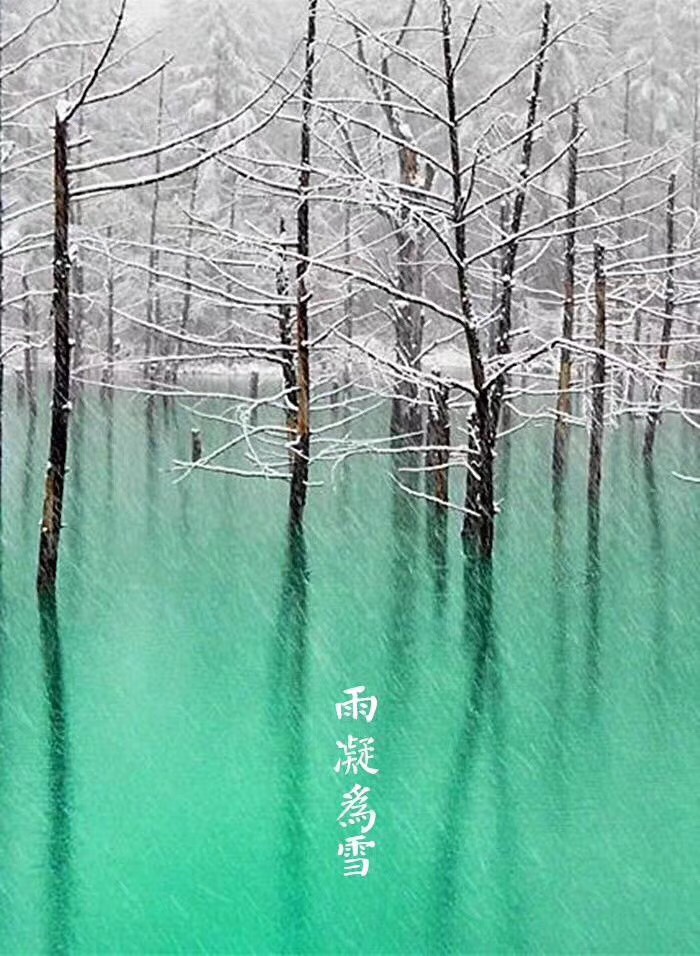 7A04F5F5-8DA3-4C27-AC86-B7F7734BCE18.jpeg