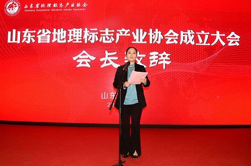 2017年11月28日，山东省地理标志产业协会成立现场。 (7).JPG