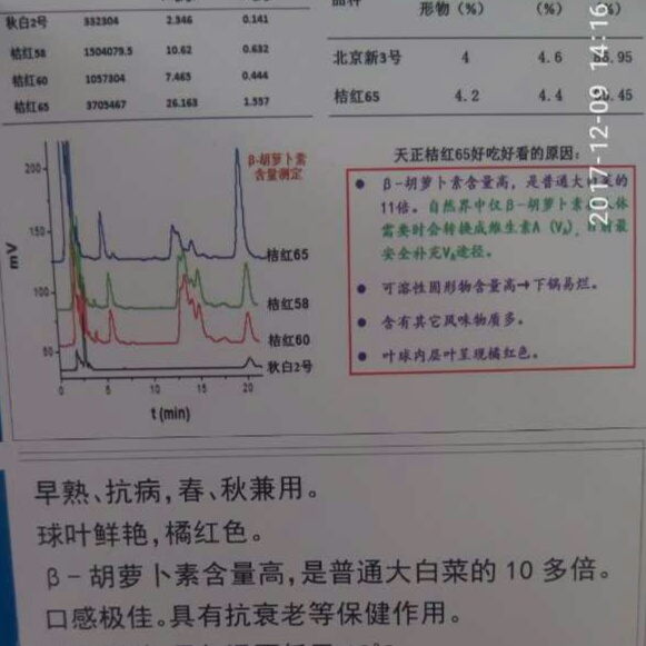 6F0A80F1-F828-4941-8D4C-47E41D45B9D4.jpeg
