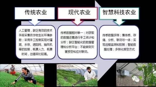 A02F7869-798B-4512-8B04-D2AF16DD9787.jpeg