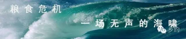 B48FDB82-ECBA-412B-82CB-7E2488624DC0.jpeg