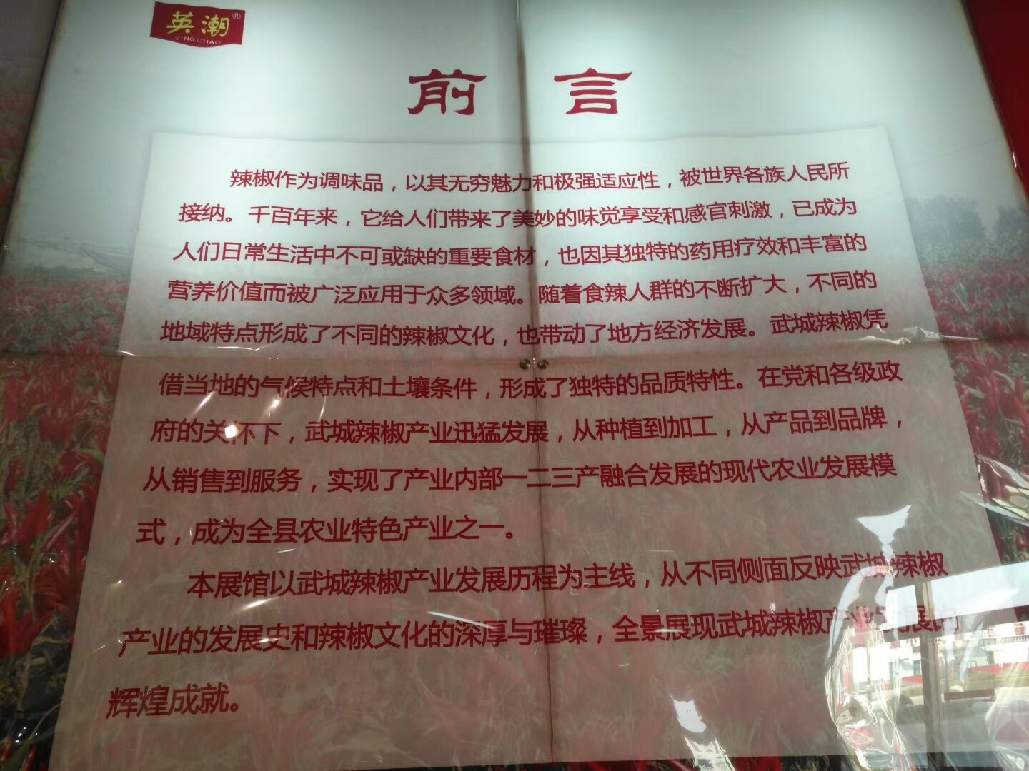 42E21A96-54D2-4F45-8490-4970B3BE724D.jpeg