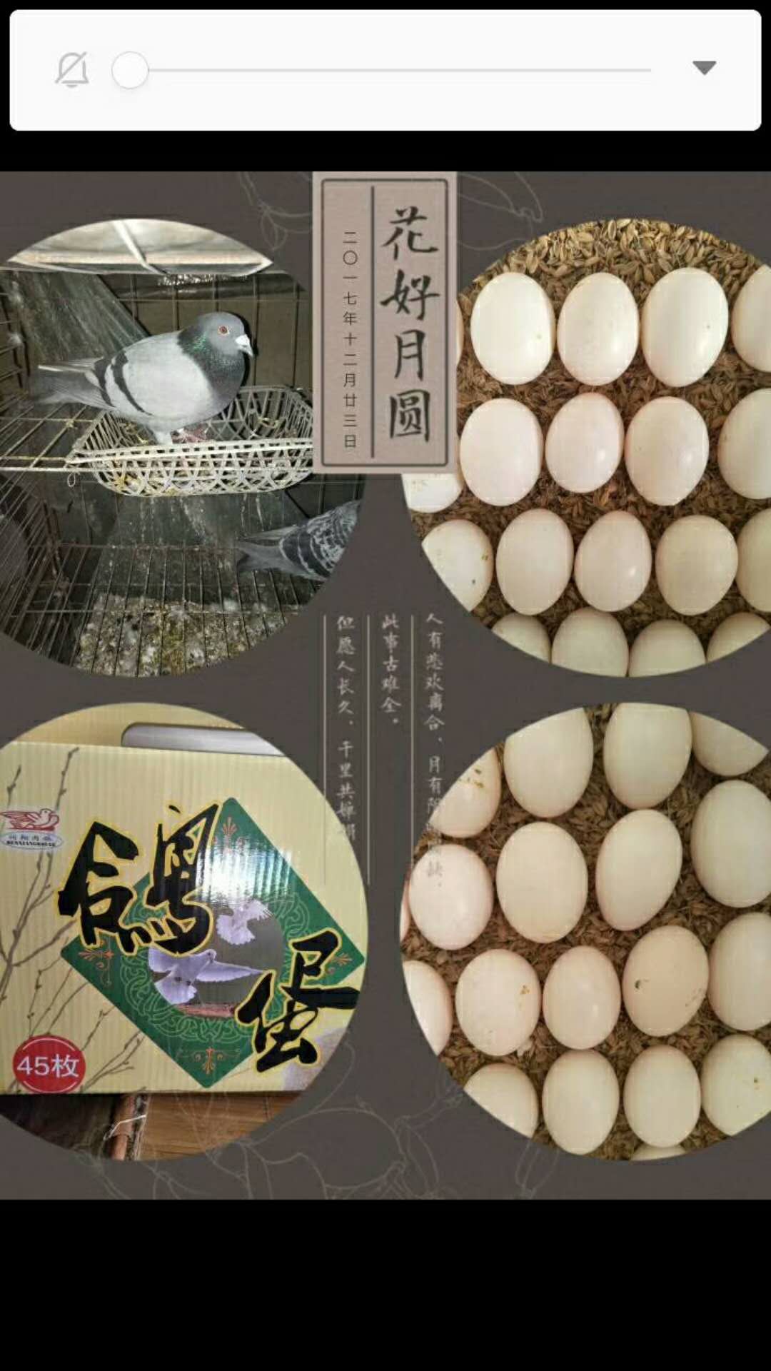270ECBF9-AEBF-4B1D-B557-34AE73897493.jpeg