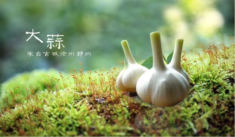 330A5D97-02FC-48BC-AFD8-0AE71128C57C.jpeg