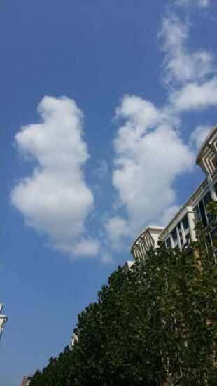 FFDAE7E7-83DA-4A61-B41C-2B86EC3F979D.jpeg