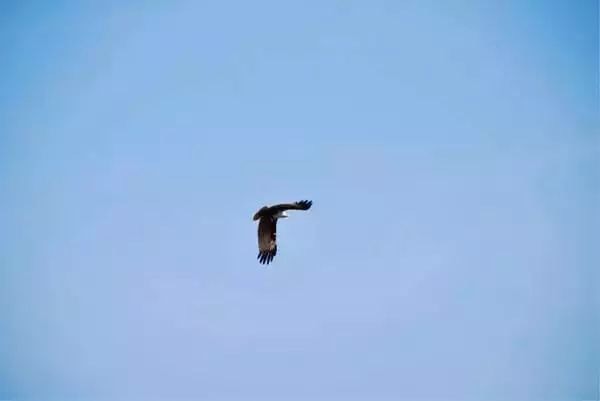 37E31842-0366-4F6C-A87D-04D964155DC0.jpeg