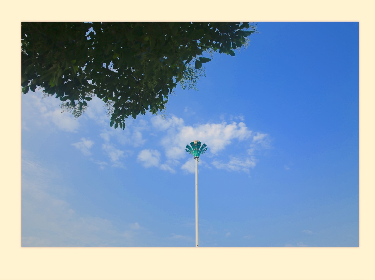 082FB89E-A641-41D4-B374-CAA902BD2B75.jpeg
