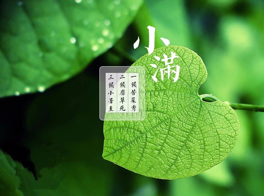 DC1BDD5D-5DBC-4473-AB35-40E618E141AA.jpeg