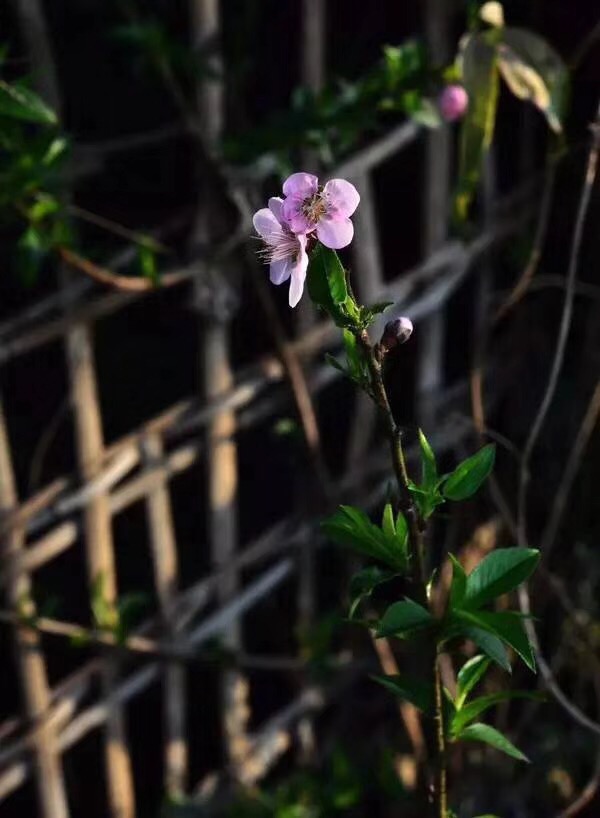 7B7DC970-808A-408A-BE4A-D63C2E8E83B3.jpeg