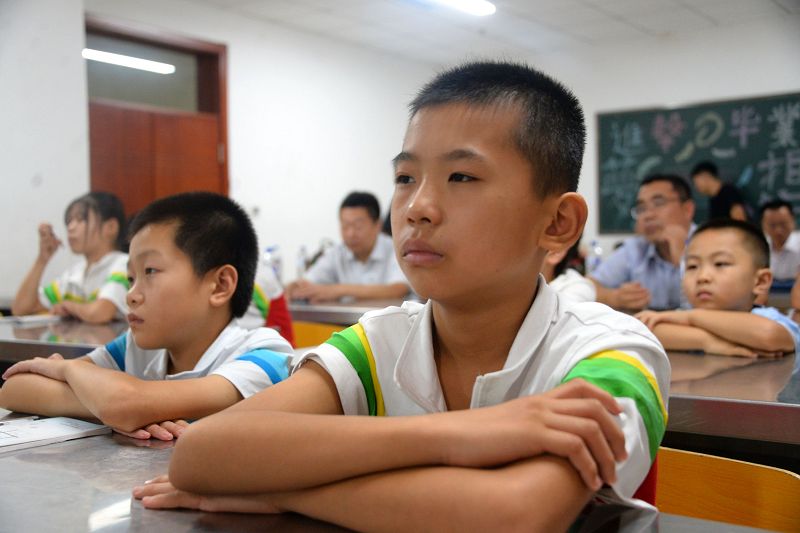 山东聊城：30名品学兼优学生认领核桃树并挂牌 “我为祖国种棵树”工程启动