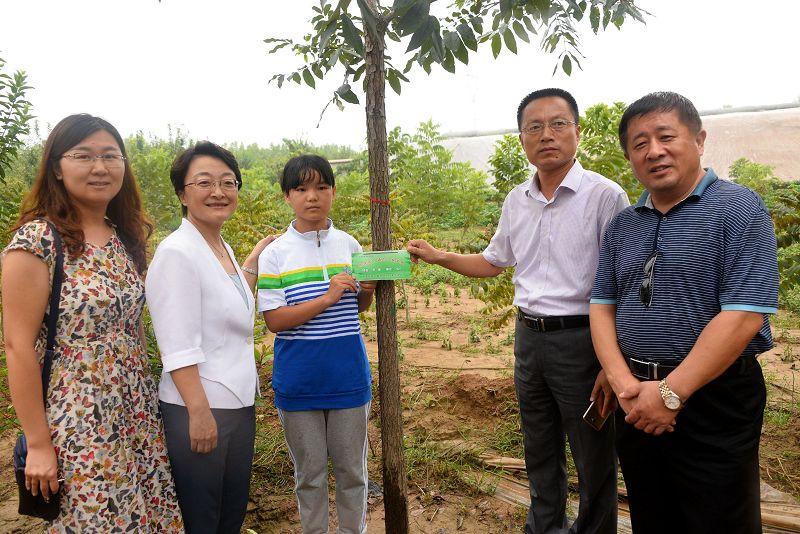山东聊城：30名品学兼优学生认领核桃树并挂牌 “我为祖国种棵树”工程启动