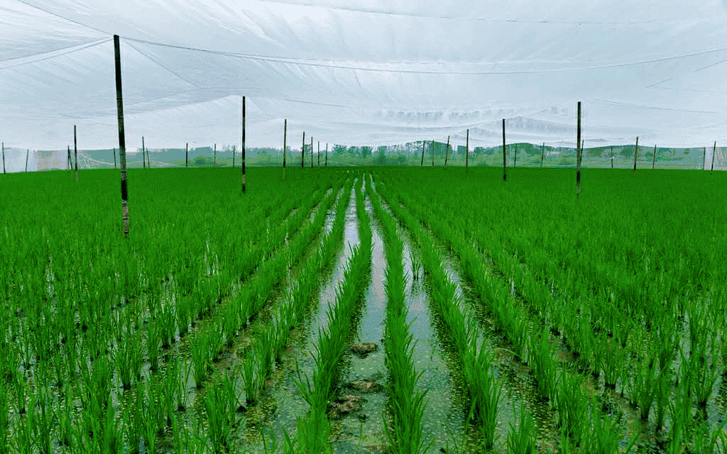 C4CA7803-FA21-422C-BCA1-BB65E0A6BE95.gif