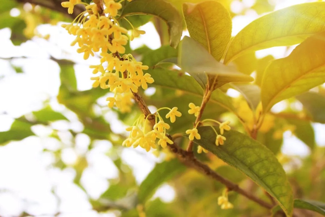 4131CF73-FE0E-49D7-AE76-582512863174.jpeg