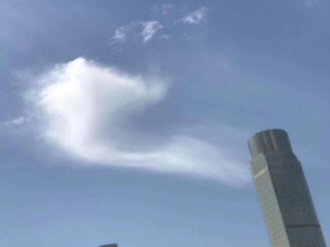 79727FA7-22B7-4AF7-BA10-EF8F5E95B715.jpeg